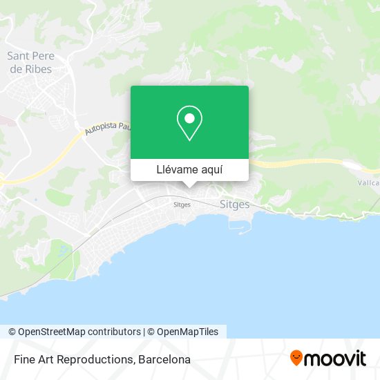 Mapa Fine Art Reproductions