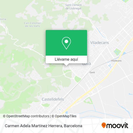 Mapa Carmen Adela Martínez Herrera