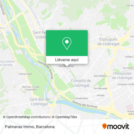 Mapa Palmeras Immo