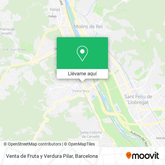 Mapa Venta de Fruta y Verdura Pilar
