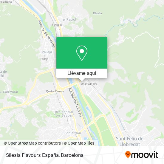 Mapa Silesia Flavours España