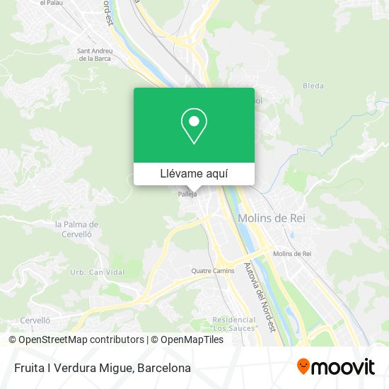Mapa Fruita I Verdura Migue