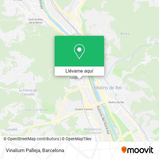 Mapa Vinalium Palleja