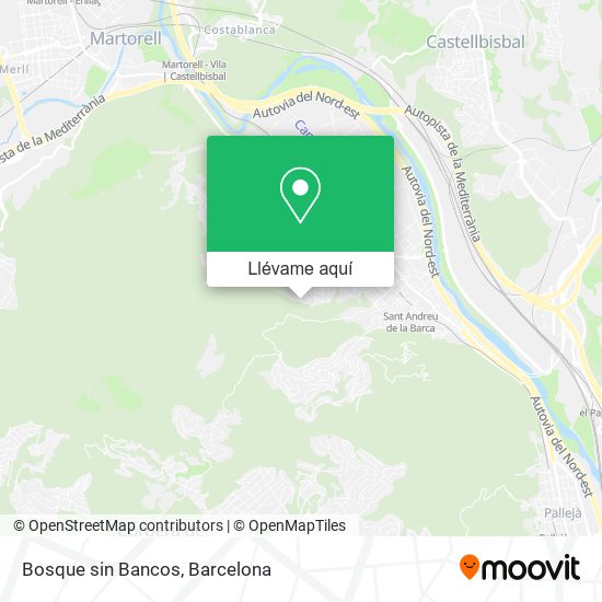 Mapa Bosque sin Bancos