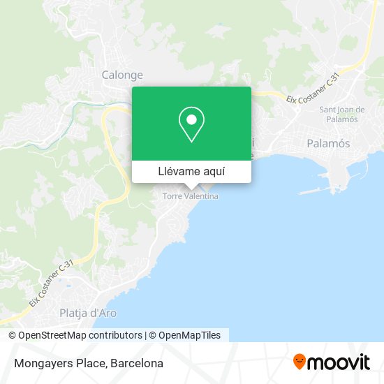 Mapa Mongayers Place