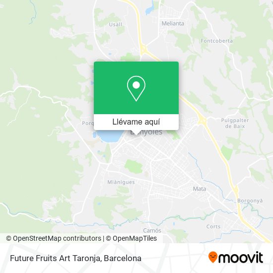 Mapa Future Fruits Art Taronja