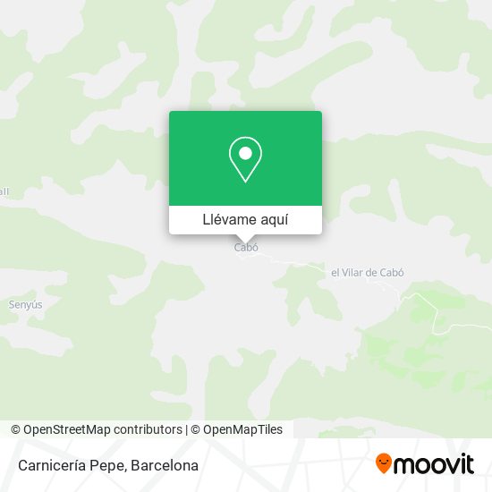 Mapa Carnicería Pepe