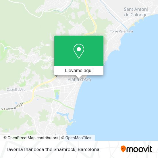 Mapa Taverna Irlandesa the Shamrock