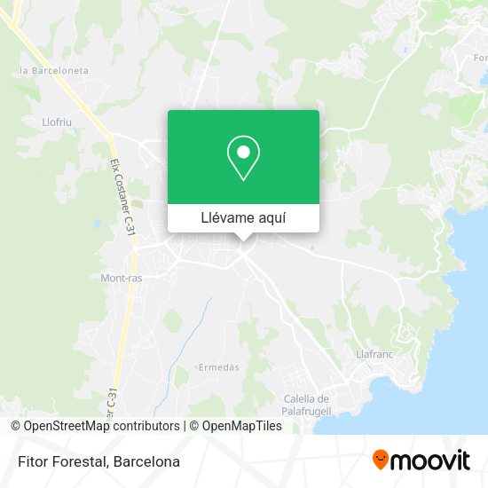 Mapa Fitor Forestal