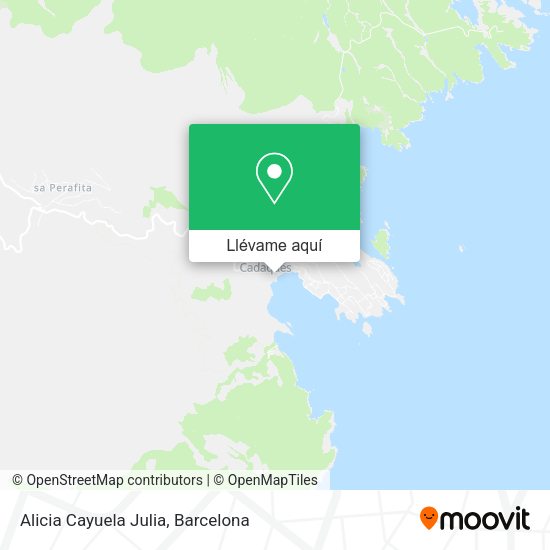 Mapa Alicia Cayuela Julia