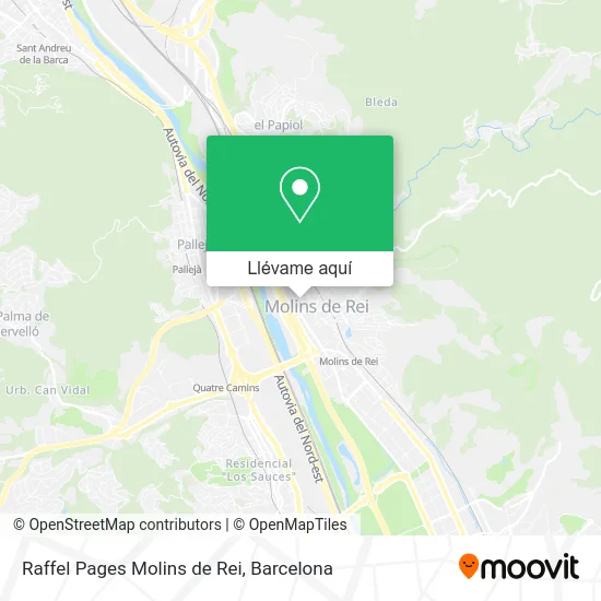 Mapa Raffel Pages Molins de Rei