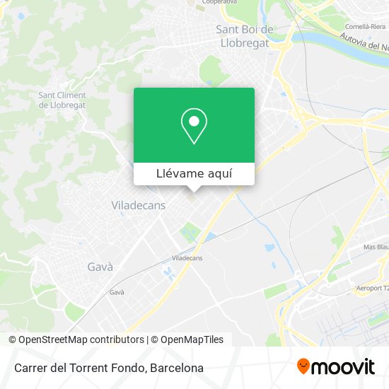 Mapa Carrer del Torrent Fondo