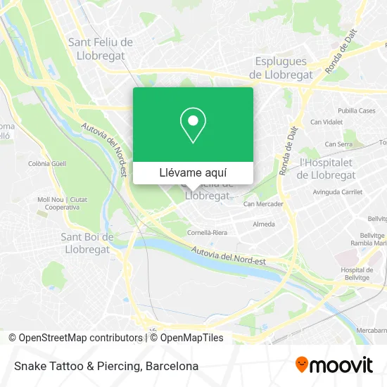 Mapa Snake Tattoo & Piercing