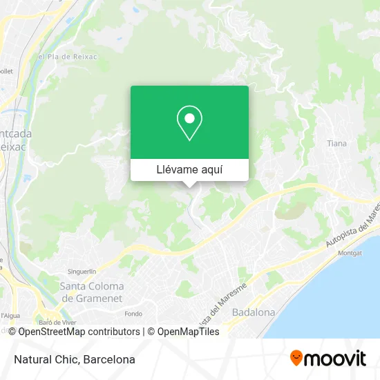 Mapa Natural Chic