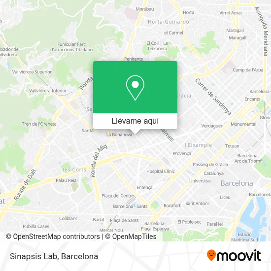 Mapa Sinapsis Lab