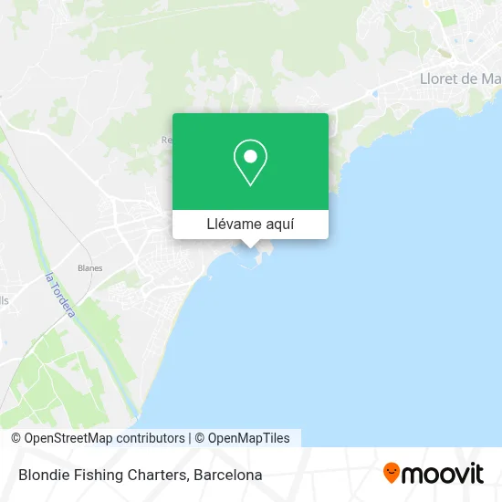 Mapa Blondie Fishing Charters