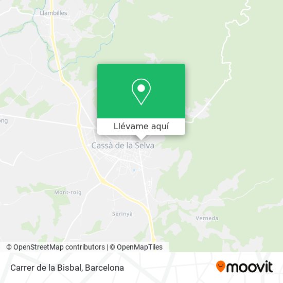 Mapa Carrer de la Bisbal