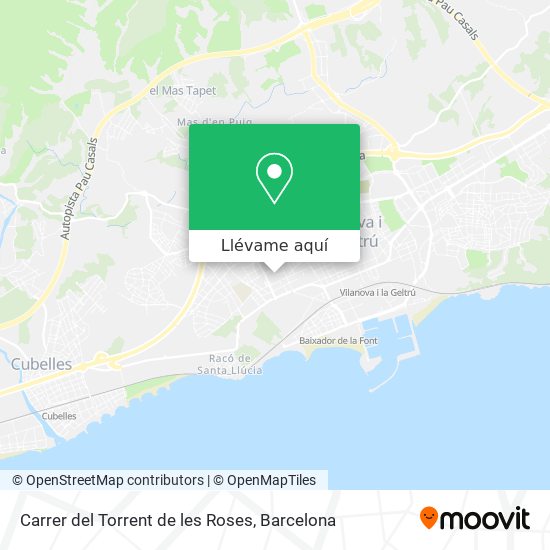 Mapa Carrer del Torrent de les Roses