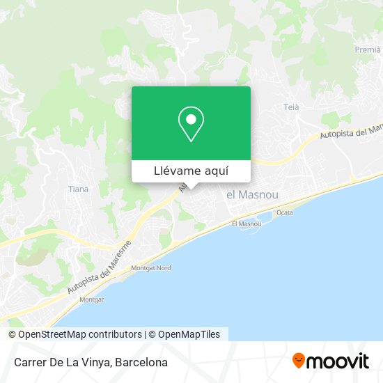 Mapa Carrer De La Vinya