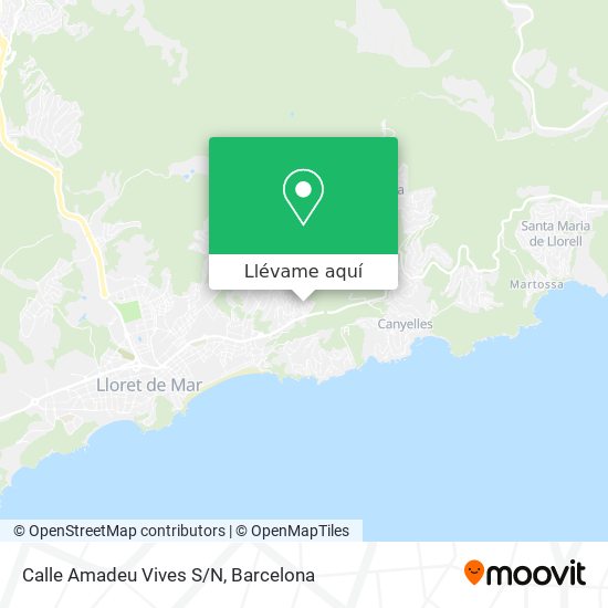 Mapa Calle Amadeu Vives S/N