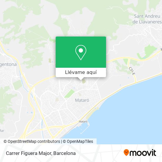 Mapa Carrer Figuera Major