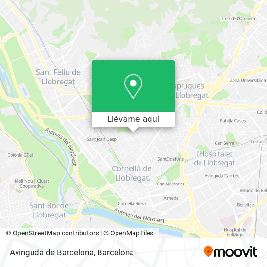 Mapa Avinguda de Barcelona