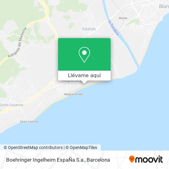 Mapa Boehringer Ingelheim EspaÑa S.a.