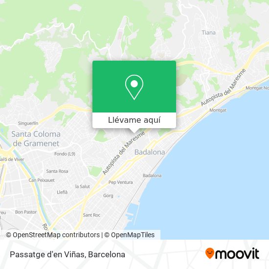 Mapa Passatge d'en Viñas
