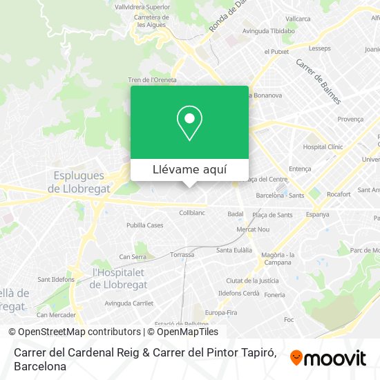 Mapa Carrer del Cardenal Reig & Carrer del Pintor Tapiró