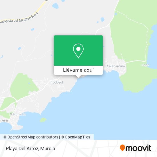 Mapa Playa Del Arroz