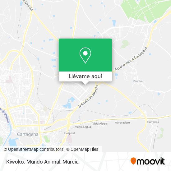 Mapa Kiwoko. Mundo Animal