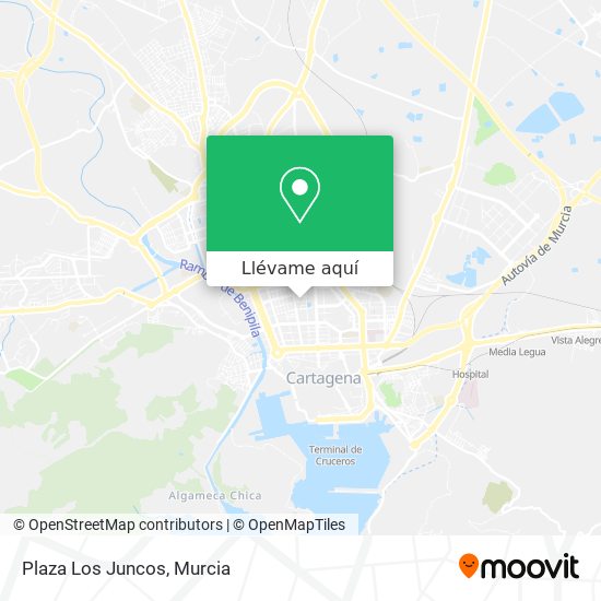 Mapa Plaza Los Juncos