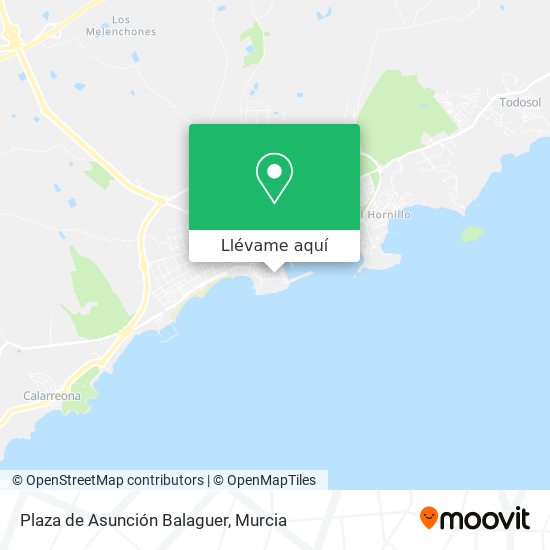 Mapa Plaza de Asunción Balaguer