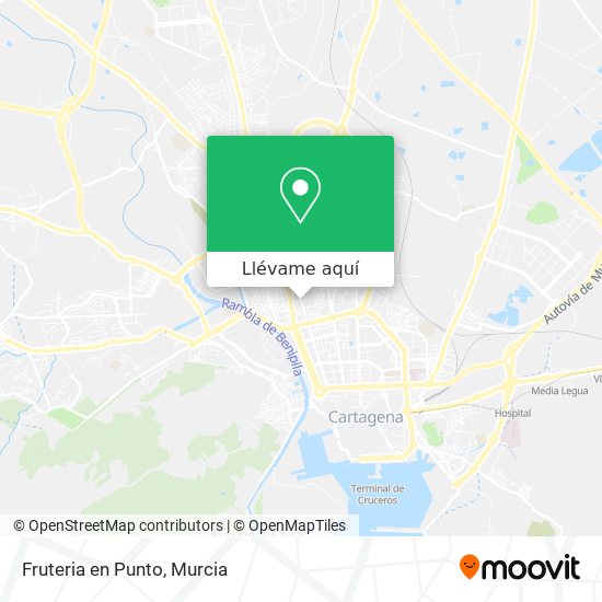 Mapa Fruteria en Punto