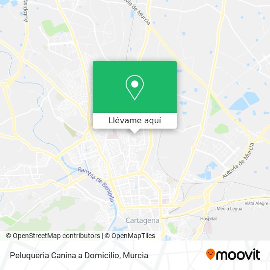 Mapa Peluqueria Canina a Domicilio