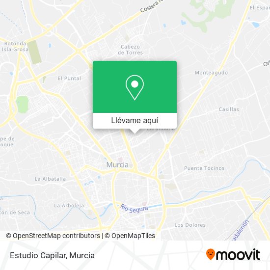 Mapa Estudio Capilar