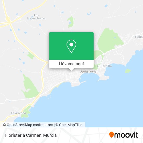 Mapa Floristeria Carmen