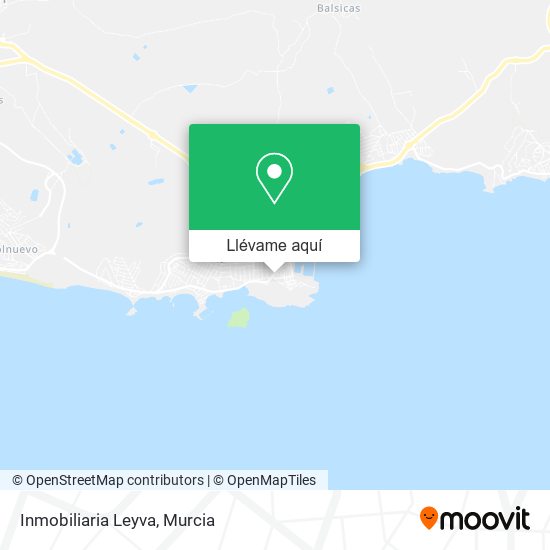 Mapa Inmobiliaria Leyva