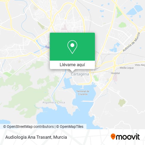 Mapa Audiologia Ana Trasant