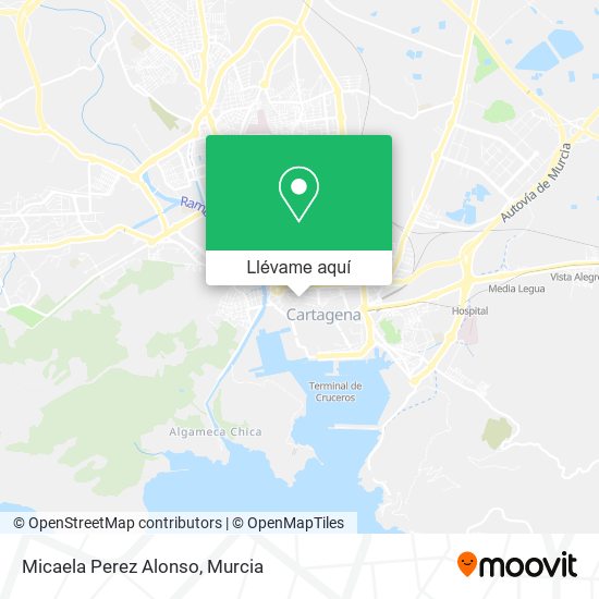 Mapa Micaela Perez Alonso