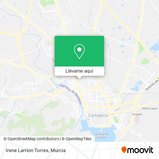 Mapa Irene Larrion Torres