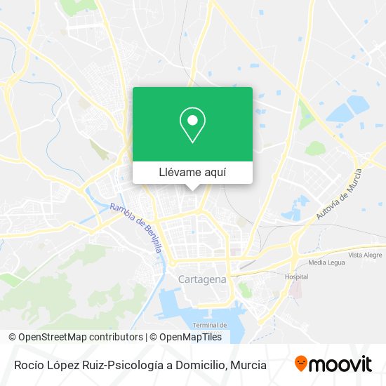 Mapa Rocío López Ruiz-Psicología a Domicilio