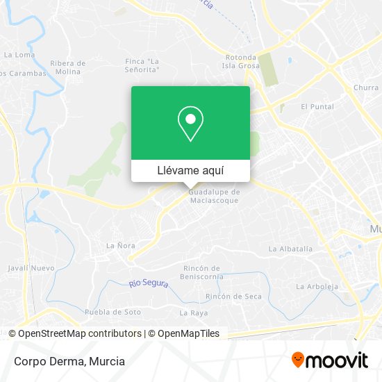 Mapa Corpo Derma