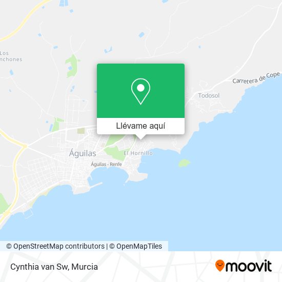 Mapa Cynthia van Sw