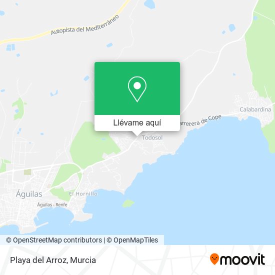 Mapa Playa del Arroz