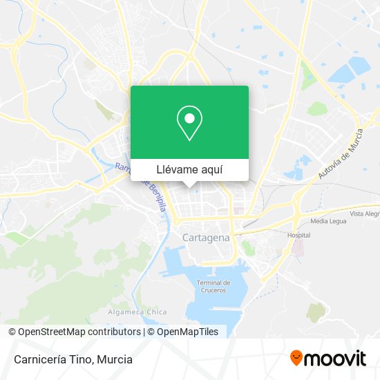 Mapa Carnicería Tino