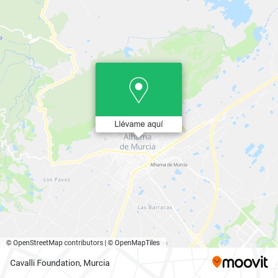 Mapa Cavalli Foundation