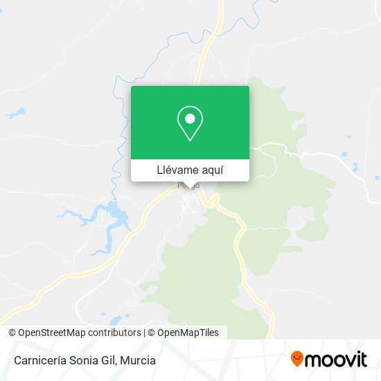 Mapa Carnicería Sonia Gil