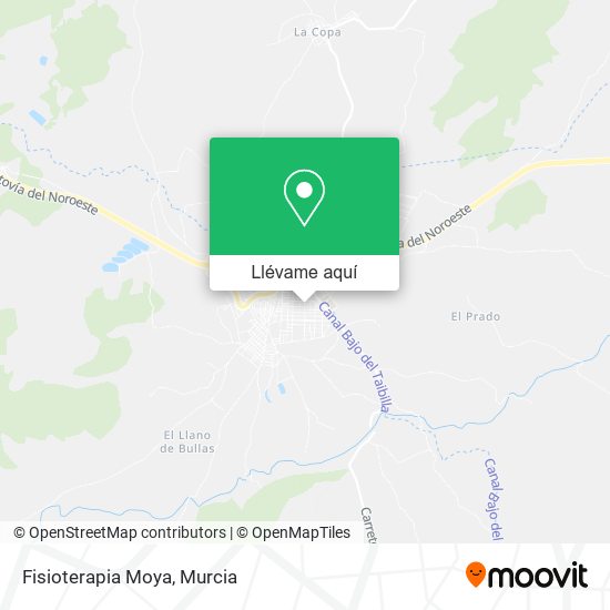 Mapa Fisioterapia Moya