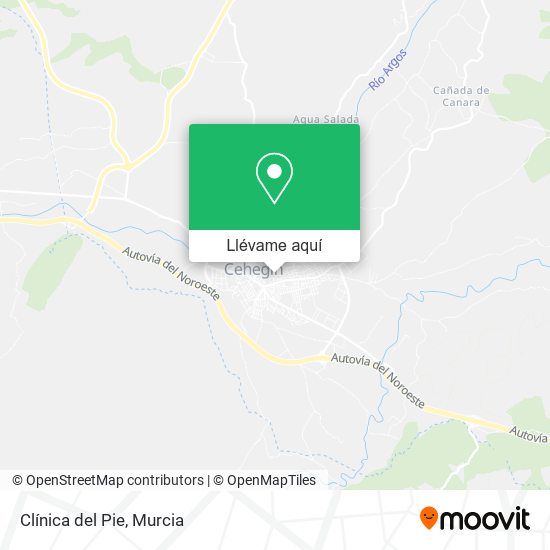 Mapa Clínica del Pie